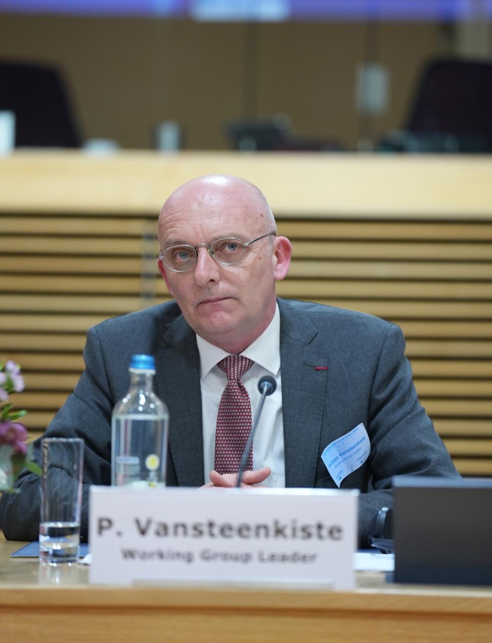 Working Group leaders: Philippe Vansteenkiste
