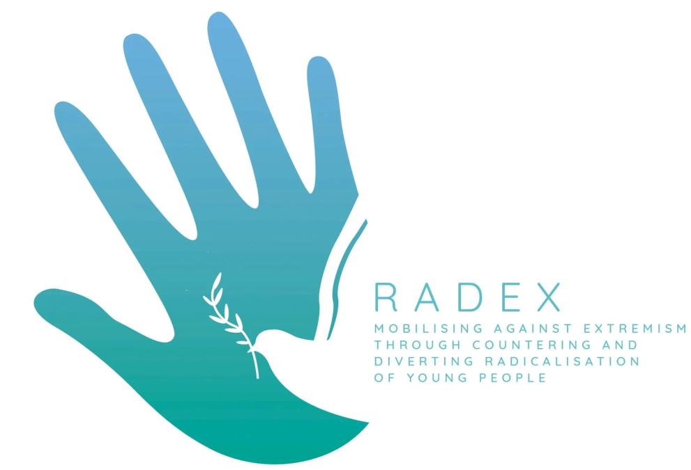 RADEX Logo