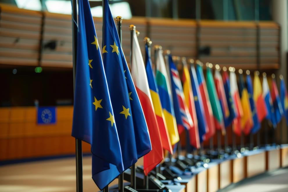 Picture showing a row of flags: first the flag of the EU and then those of its Member States.