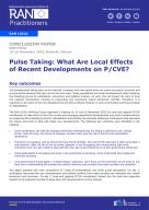 Pulse Taking: What Are Local Effects  of Recent Developments on P/CVE? cover