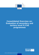 Evaluation of secondary and tertiary level P/CVE programmes cover