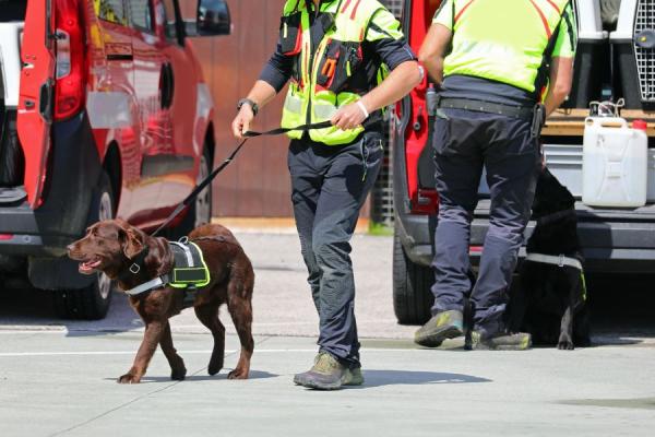 The image displays policeman with the dog - investigation 